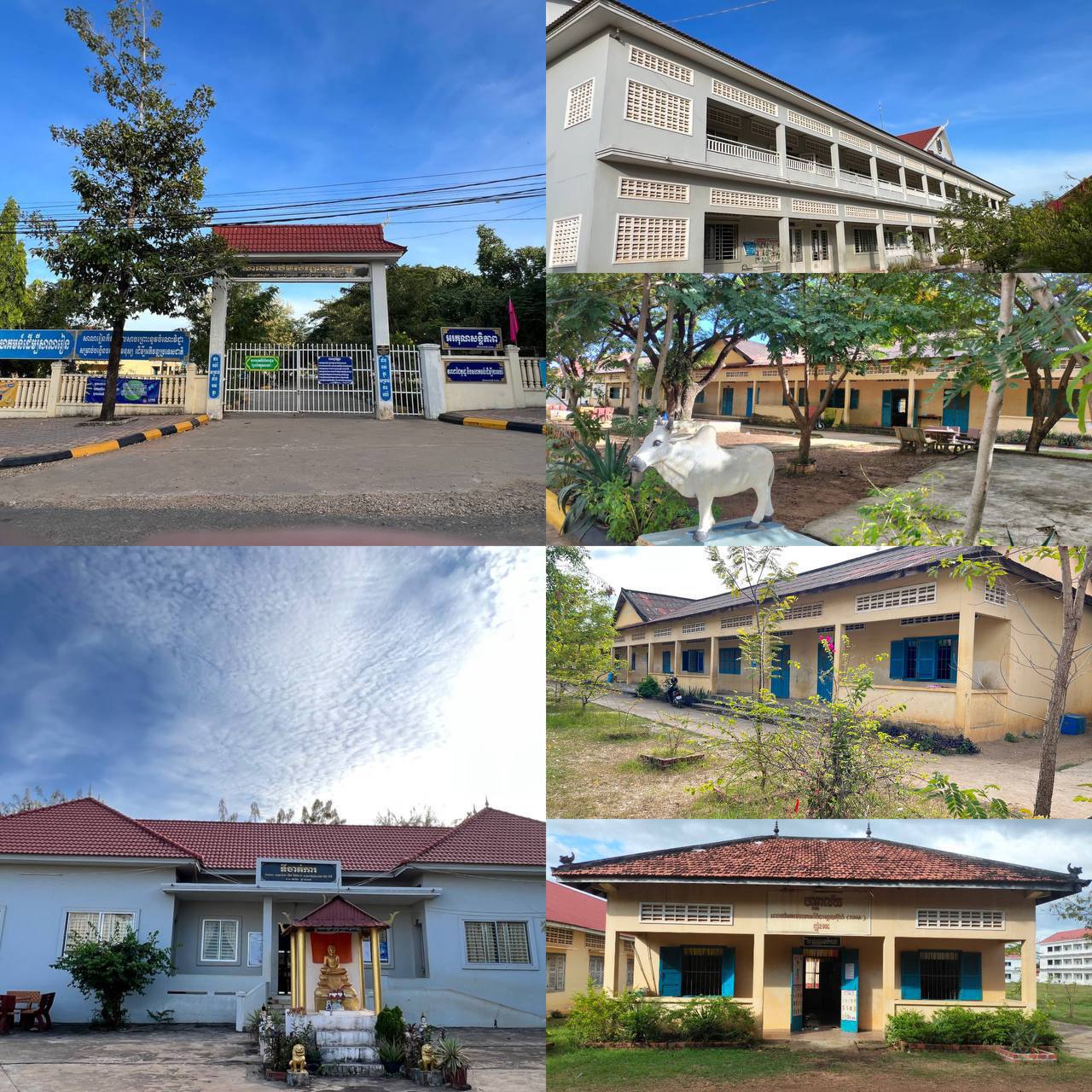 សាលាបឋមសិក្សាអនុវត្តន៍ ខេត្តស្ទឹងត្រែង - Photo gallery - 2